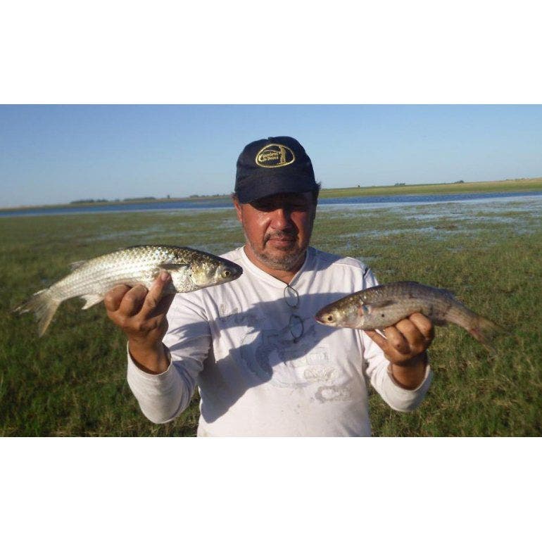 Que Hacemos Hoy  Pesca en La Barra